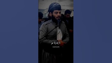 سورة القصص رعد الكردي #رعد_الكردي #سورة_القصص  #قرآن_كريم #القرآن #raadalkurdy #الله #ڕەعد_کوردی