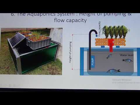 Solar Powered Aquaponics System