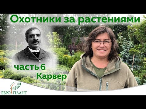 Охотники за растениями. Джордж Вашингтон Карвер. Рожденный рабом и перевернувший мир.