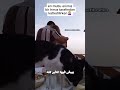 حلاوه البدايات حلاوه البدايات