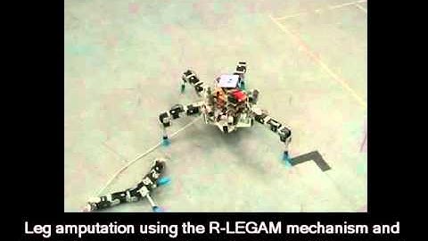 Self reconfigurable fault tolerant robot