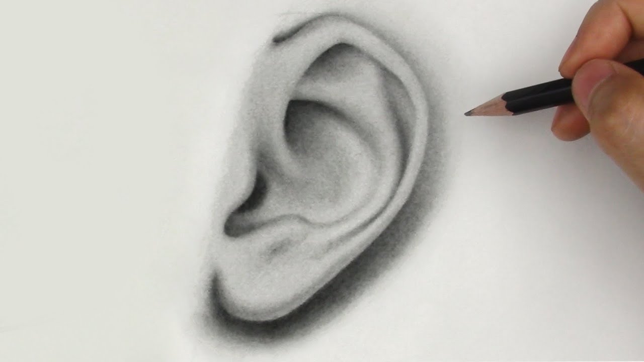 How to Draw Ears  An EasytoFollow Human Ear Drawing Tutorial