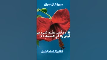 إن الله لا يخفى عليه شيء في الأرض ولا في السماء/ #سورة_آل_عمران #اسامة_نبيل