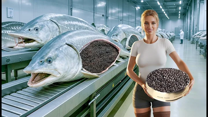 Inside the Sturgeon Caviar Factory (Full Process) | Secrets of the Luxury Caviar Industry