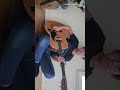小林泉美/夢はLove Me more