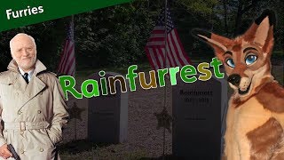 Провал Rainfurrest'а