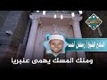٢٩ نوفمبر ٢٠٢٤