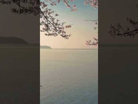 رحلة النبي أيوب مع الشيطان د مصطفى محمود يشرح م س ن ى ٱلش ي ط ن ب ن ص ب و ع ذ اب