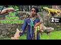 BIGGEST IGUANA COLLECTION IN INDIA