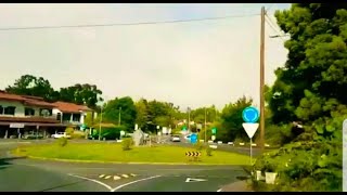 Viagem - Santo da Serra' Portela' Hortênsias da Madeira Island Natureza - Música Popular Portuguesa