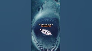 Megalodon: The Ocean’s Apex Predator🦈  #history #megalodon #shark #shorts #short