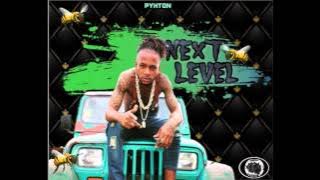 Pietann - Next Level