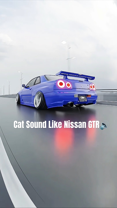 Cat Sound Like Nissan GTR🔊 #nissan #gtr #nismo #jdm #japan #car #automobile #shorts #viral #cat