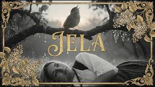 JELA - Aleksa Šantić | Najljepša tajna ljubavna pjesma 🎬✨