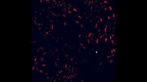 Physically Based Animation