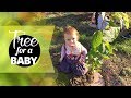 Сажаем деревья в честь детей | Tree for each baby born in Ghent