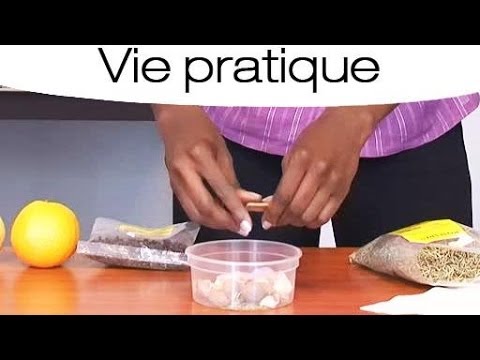 Vidéo: Comment pêcher les crevettes : 13 étapes (avec photos)