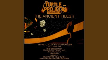 The Eleventh File (feat. Winkandwoo)