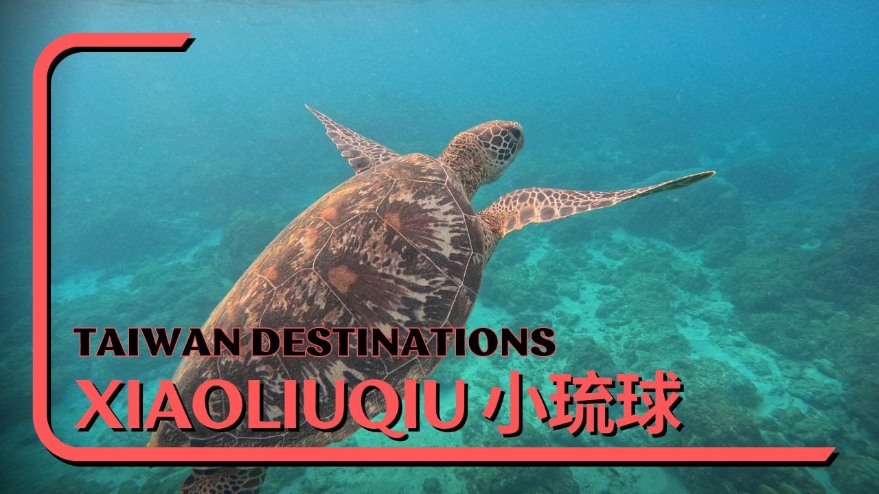 Travel in Taiwan  Longdong Scuba Diving - onethingoneweek