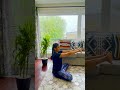 Day 3/30 days Yoga Challenge.#yoga #yogapractice #yogalife #yogaforbeginners
