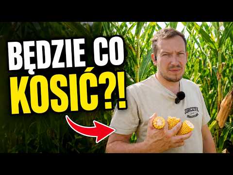 DID THIS DISC HARROW DO IT IN ONE PASS?!