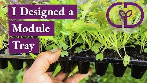 My new 60 cell and long life module tray