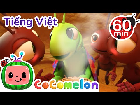 Kiến Và Châu