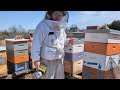 Middle of video