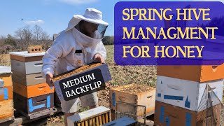 Spring Management for Increased Honey Production. The Medium Backflip Queen Excluder Trick