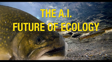 Fishing with Neural Nets | Transforming Ecology with Artificial Intelligence #ai #uva #ecology