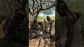 Hadzabe Tribe people live in the forest as a peaceful community