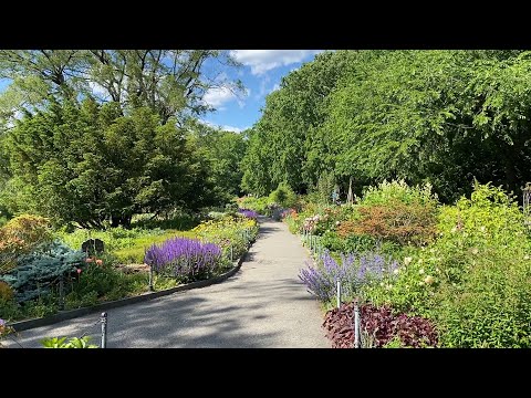 Video: Heather Garden - Todellinen Paratiisin Satu
