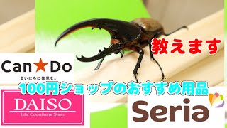 100均に売っているカブトムシ飼育に最適の用品をこっそり教えちゃいます。