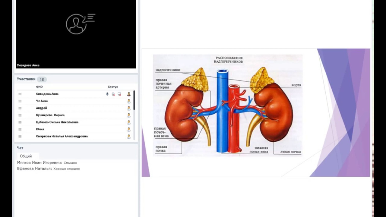 ГАК (гиперадренокортицизм). Симптомы. Диагностика. Лечение.