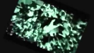 Ogeday Kaybettim Seni