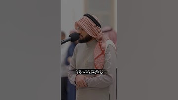 سورة الحشر - أحمد النفيس