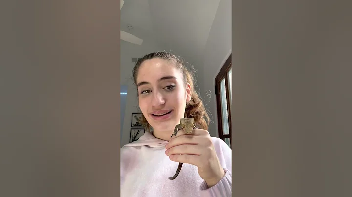 Application Video, Sacred Heart Atherton, 2021, Vi...