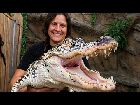 She ate EVERYTHING 🤯🐊