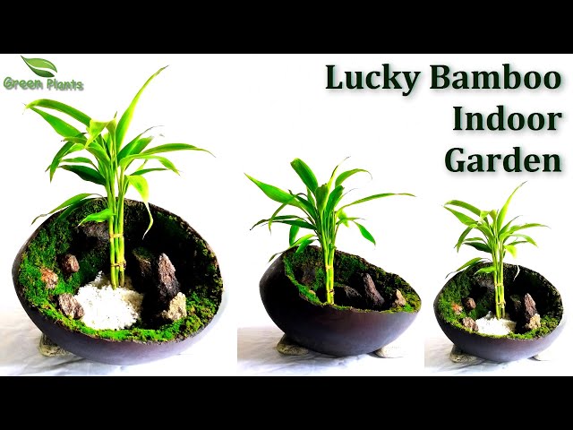 macrame small plant hanger Easy Macrame Plant Hanger Pattern | Beginner