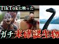 【新作】TikTokに偶然映り込んだ未確認生物がツッコミどころ満載だったwwwwww【なろ屋】【ツッコミ】