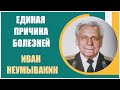 Профессор Неумывакин: Почему я перестал пить чай и всем советую