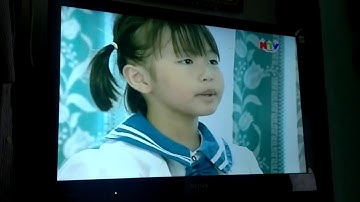 Lớp 1E Trường tiểu học Hà Huy Tập 2 - NTV