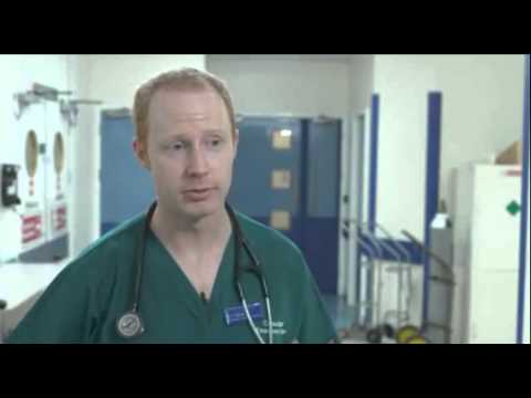 Emergency Department