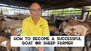 HOW TO BECOME A GOAT OR SHEEP FARMER 2022