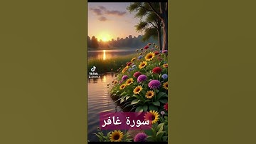 سورة غافر#دويتو #تيك_توك #فولو #دعاءمستجاب #لايك #quran #حالات_واتس # قران#quran