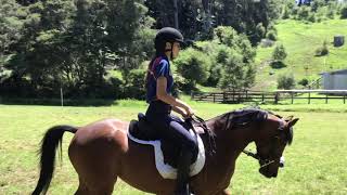 Gip flatwork edit