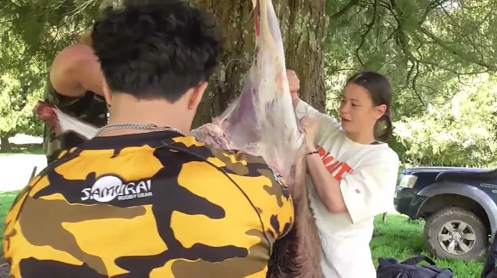 A bit of hunting and fishing in Te Urewera.