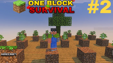 I build a tree farm in Minecraft #2 | Minecraft one block #2 | #gamer999youtube #minecraft 