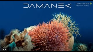 Download Lagu Damanek - CROWN OF THORNS (SEA SONGS Pt. 2) from \ MP3 Download Lagu Damanek - CROWN OF THORNS (SEA SONGS Pt. 2) from \ MP3
