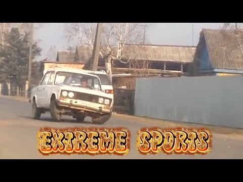 Βίντεο: 8 Extreme Sports για σκύλους